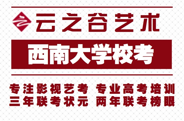 云之谷艺术西南大学校考
